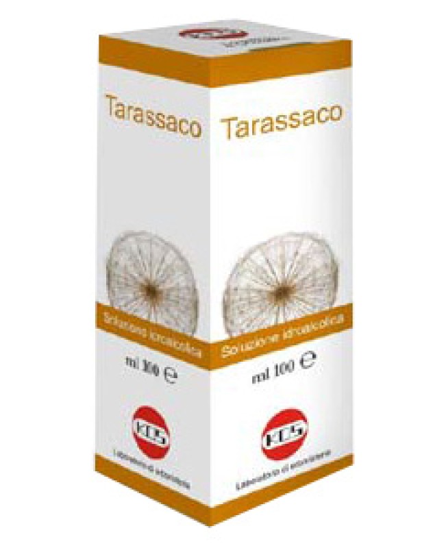 TARASSACO SOL IAL PIANTA FR100