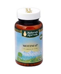 MOTIMAP (MA 647) 120TAV