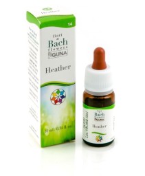 HEATHER 10ML NF (14)