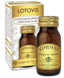 LOTOVIS 100PAST
