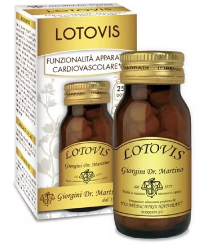 LOTOVIS 100PAST LOTOVIS 100PAST