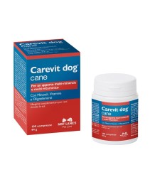 CAREVIT DOG MANGIME 100CPR