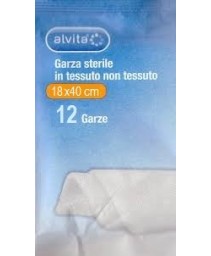 ALVITA GARZA TNT 18X40CM 12PZ