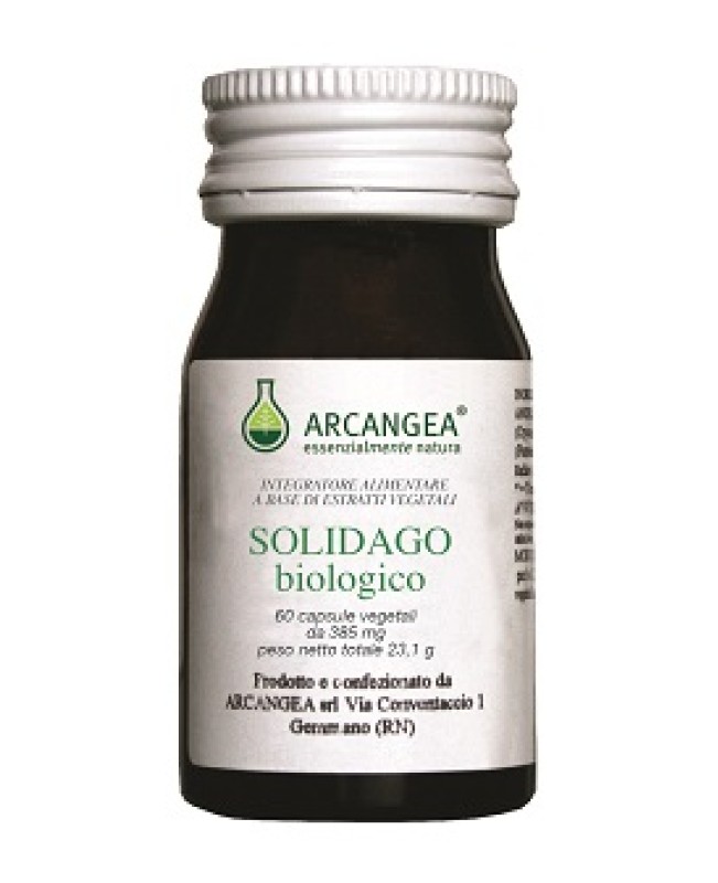 SOLIDAGO BIO 60CPS SOLIDAGO BIO 60CPS