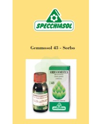 GEMMOSOL SORBO (43) 50ML