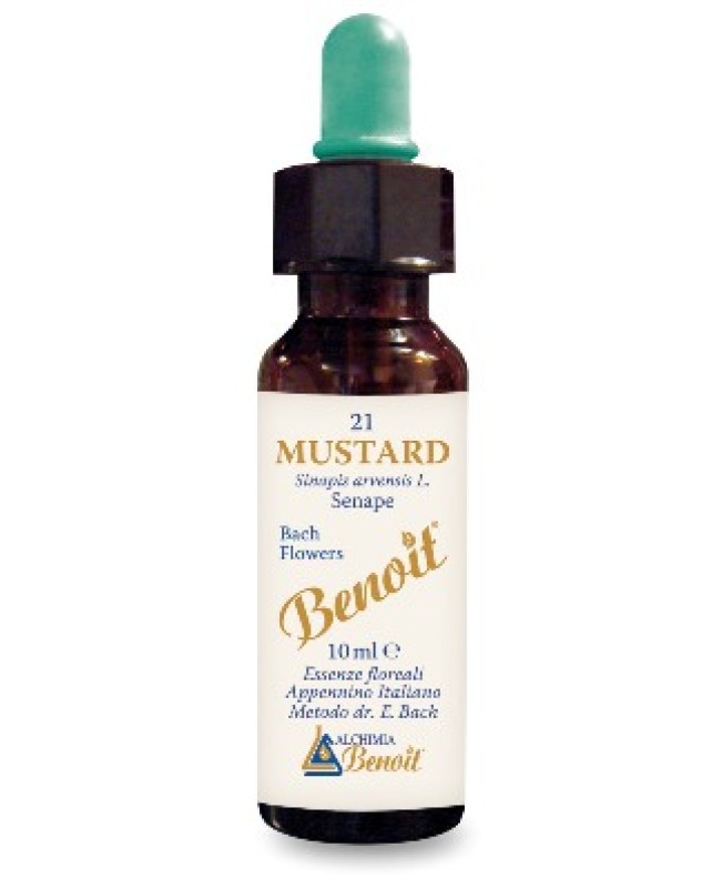 BENOIT FIORI DI BACH MUSTARD BENOIT FIORI DI BACH MUSTARD