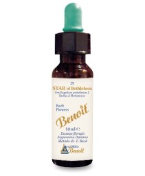 STAR OF BETHLEHEM BENOIT FB 10ML