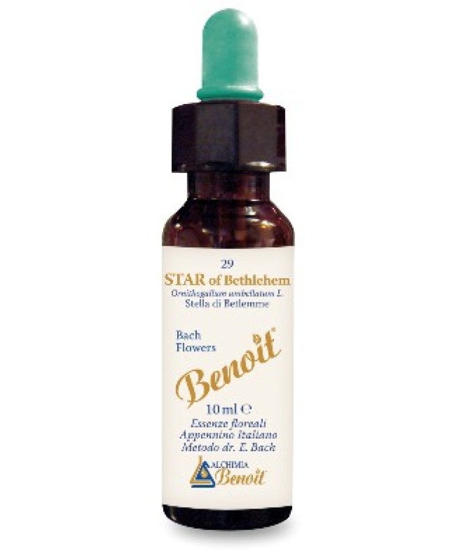 STAR OF BETHLEHEM BENOIT FB 10ML STAR OF BETHLEHEM BENOIT FB 10ML
