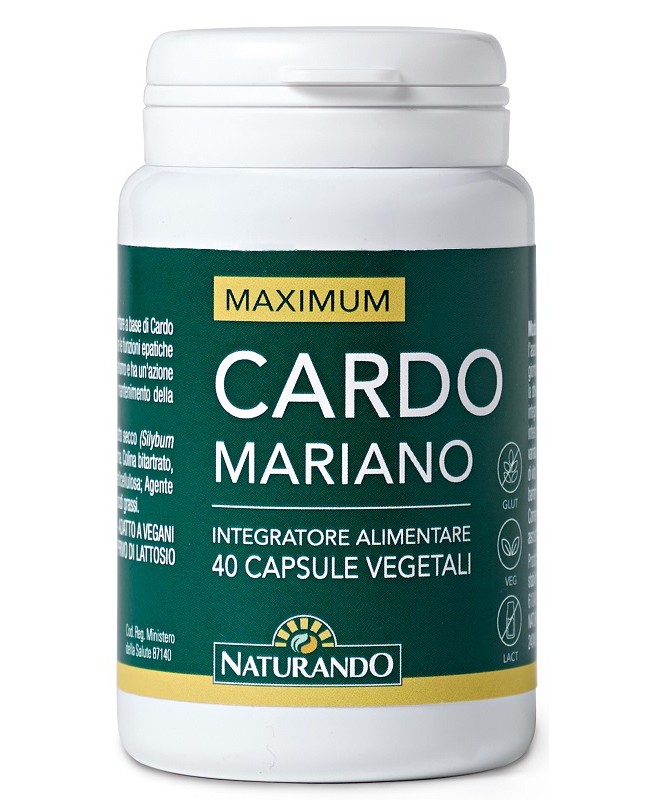 CARDO MARIANO 40CPS CARDO MARIANO 40CPS