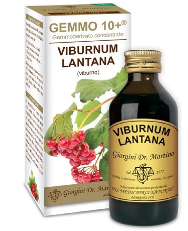 VIBURNO LIQ ANALCOLICO 100ML