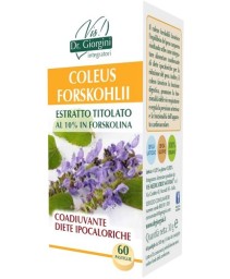 COLEUS FORSK ESTR TIT 60PAST
