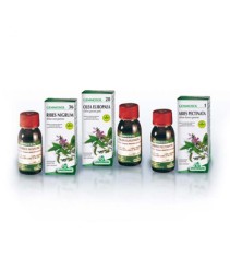 GEMMOSOL FICO (24) 50ML