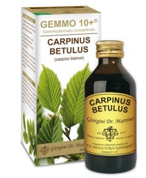CARPINUS(CARPINO)GEMMO 10+ 100M ANA