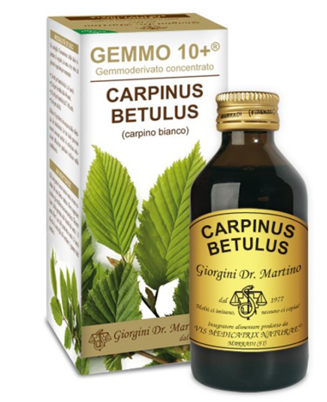 CARPINUS(CARPINO)GEMMO 10+ 100M ANA