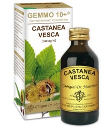 CASTANEA(CASTAGNO)GEMMO10+ 100M ANA