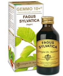 FAGUS SYL(FAGGIO)100M ANAL GEM 10+