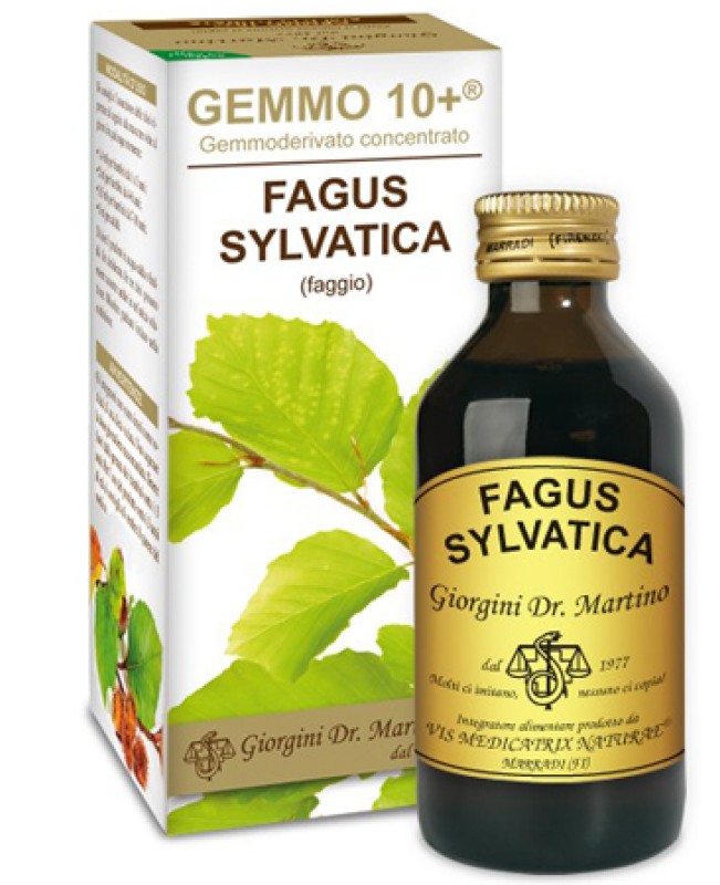 FAGUS SYL(FAGGIO)100M ANAL GEM 10+ FAGUS SYL(FAGGIO)100M ANAL GEM 10+