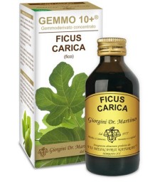 FICUS CARICA 100ML LIQ ANALC GEM10+