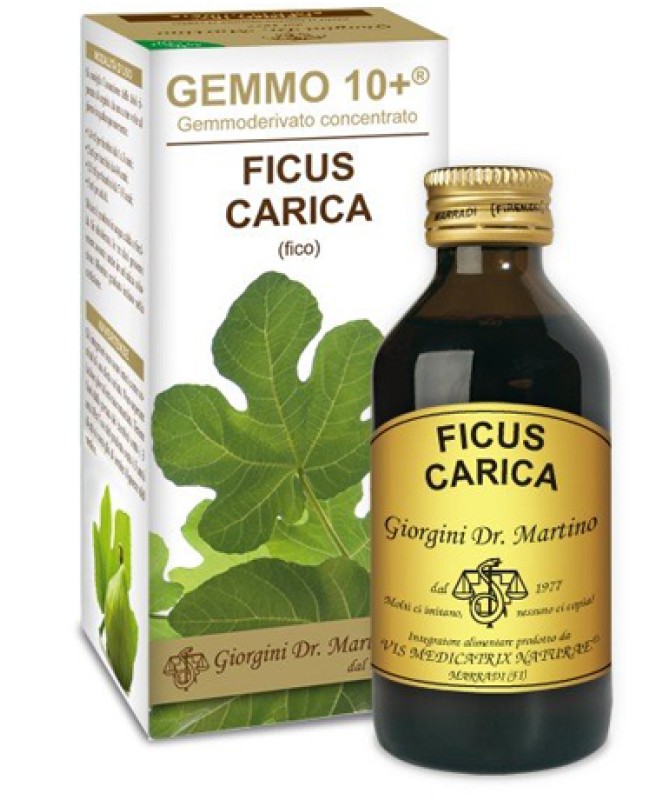 FICUS CARICA 100ML LIQ ANALC GEM10+ FICUS CARICA 100ML LIQ ANALC GEM10+