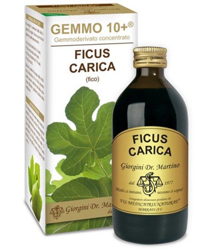 FICUS CARICA 200ML LIQ ANALC GEM10+ FICUS CARICA 200ML LIQ ANALC GEM10+