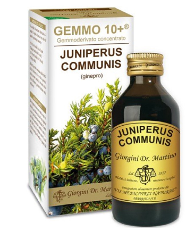 JUNIPERUS(GINEPRO)GEMMO 10+ 100M AN JUNIPERUS(GINEPRO)GEMMO 10+ 100M AN