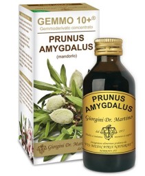 PRUNUS A(MANDORLO)GEMMO 10+ 100M AN
