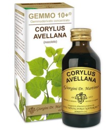 CORYLUS(NOCCIOLO)GEMMO 10+ 100M ANA