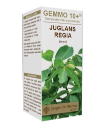 JUGLANS(NOCE) GEMMO 10+ 100ML ANAL