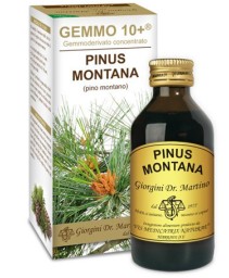 PINO MONT 100ML ANALCO GEMM10+