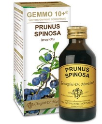 PRUNUS S(PRUGNOLO)GEMMO 10+ 100M AN