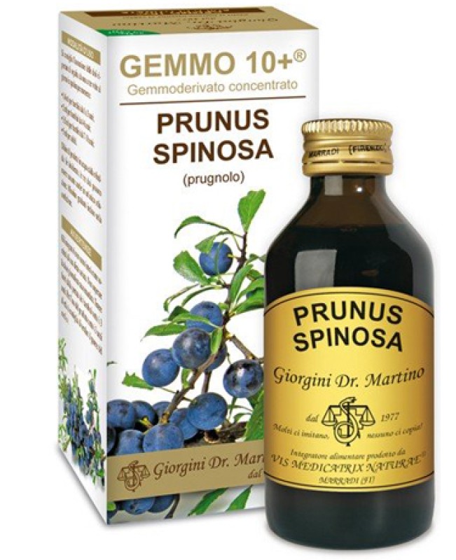 PRUNUS S(PRUGNOLO)GEMMO 10+ 100M AN