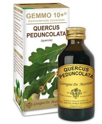 QUERCUS(QUERCIA)GEMMO10+ 100M ANALC