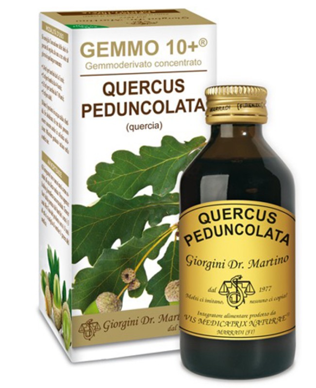 QUERCUS(QUERCIA)GEMMO10+ 100M ANALC