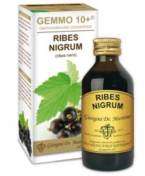 RIBES NIGRUM GEMMO 10+ 100ML ANAL