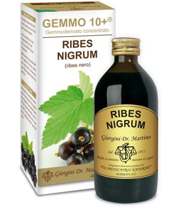 RIBES NERO GEMMO 10+ 200ML ANAL RIBES NERO GEMMO 10+ 200ML ANAL