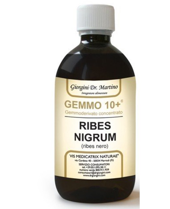 RIBES NIGRUM GEMMO 10+ 500ML ANALC RIBES NIGRUM GEMMO 10+ 500ML ANALC