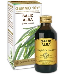 SALIX A(SALICE) GEMMO 10+ 100M ANAL