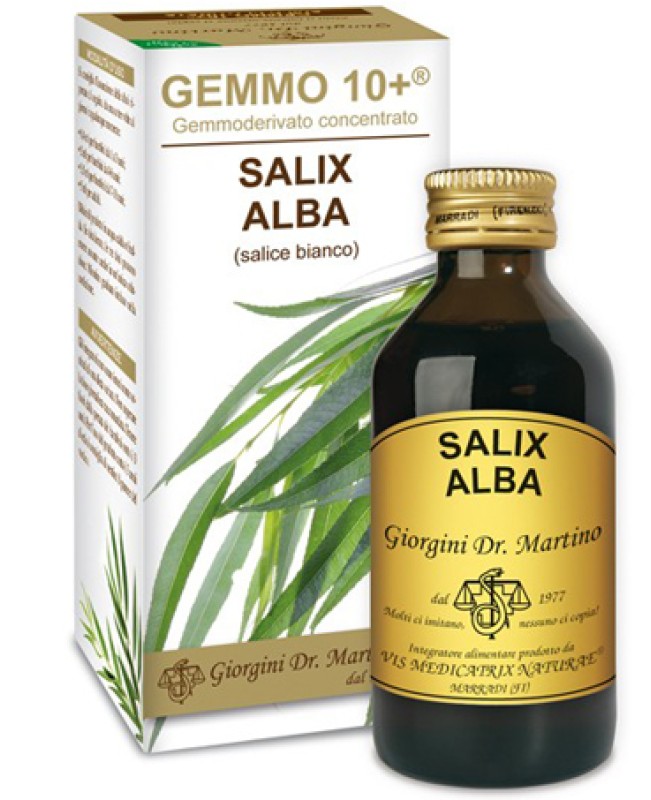 SALIX A(SALICE) GEMMO 10+ 100M ANAL