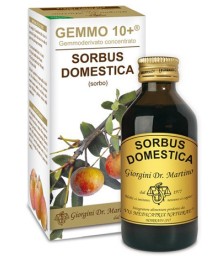 SORBO 100ML ANALCO GEMMO 10+