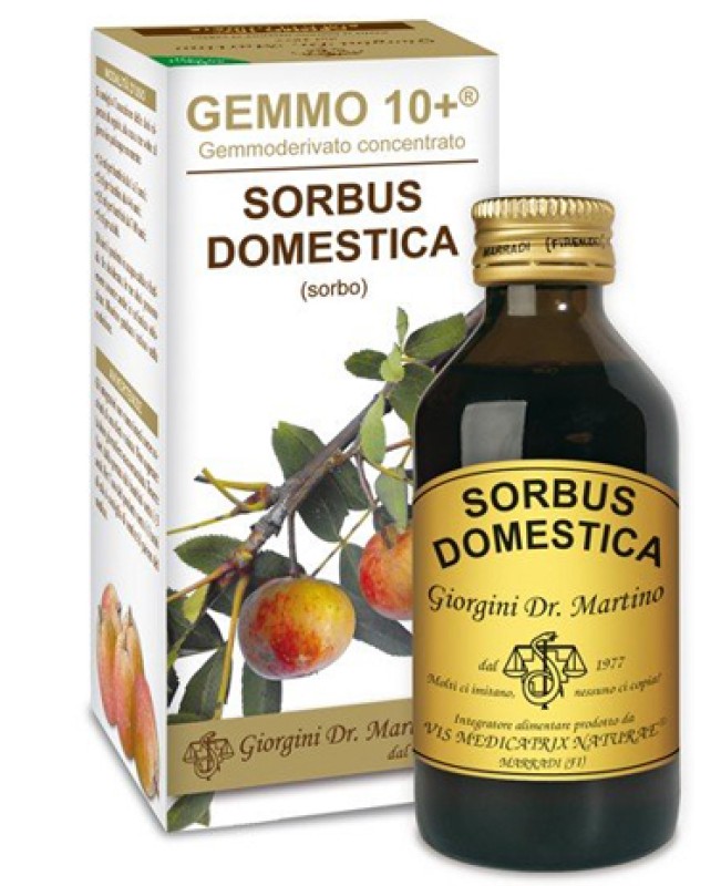 SORBO 100ML ANALCO GEMMO 10+ SORBO 100ML ANALCO GEMMO 10+