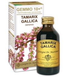TAMERICE 100ML ANALCO GEMMO10+