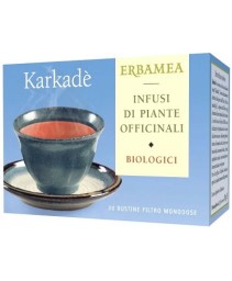 KARKADE' 20BUSTINE FILTRO