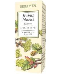 RUBUS IDAEUS LAMPONE GD 50ML