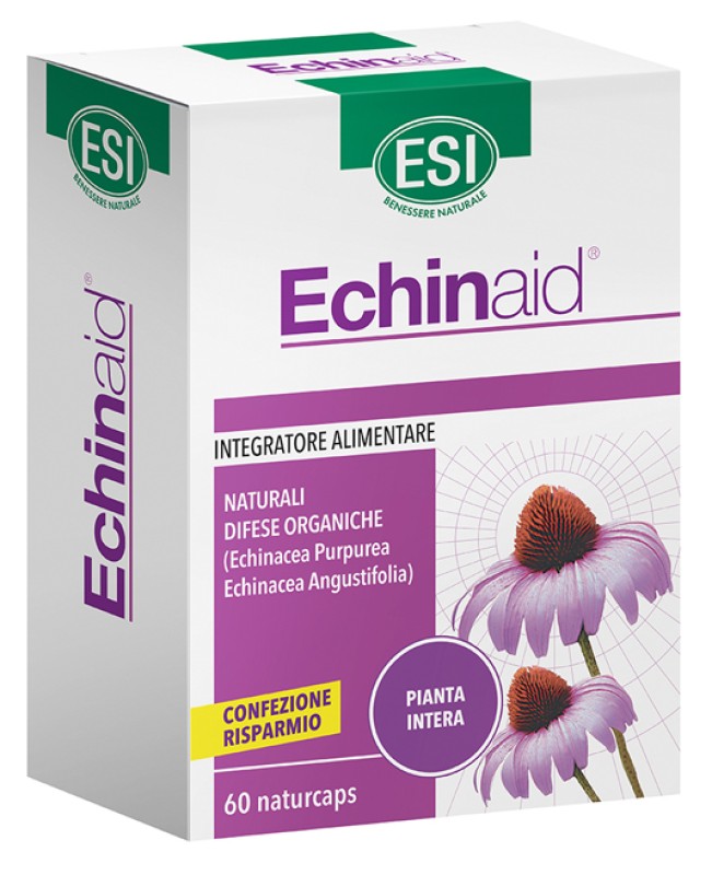 ECHINAID ALTA POTENZA*60CPS
