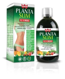 WINTER PLANTA SLIM 12ERBE500ML