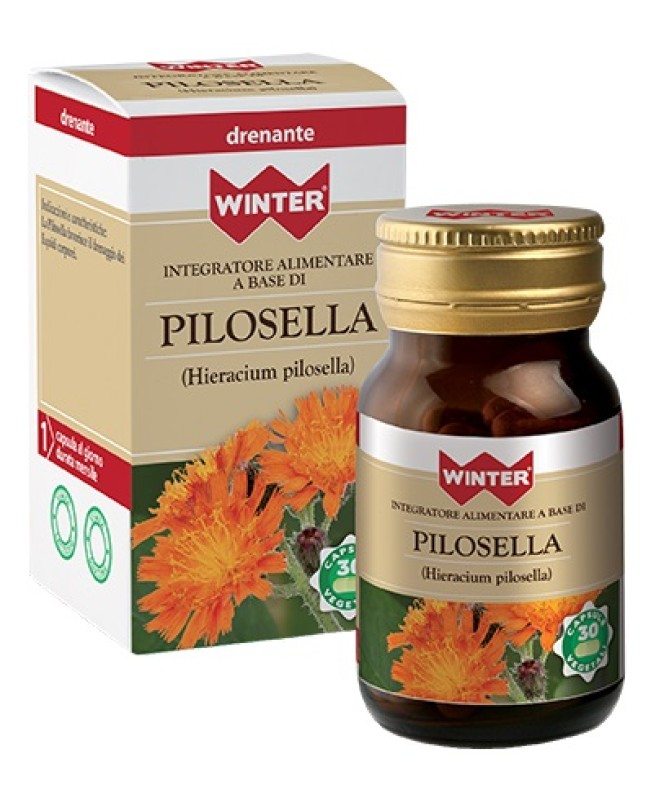 WINTER PILOSELLA 30CPS VEG WINTER PILOSELLA 30CPS VEG