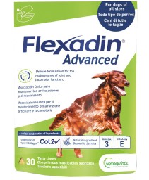 FLEXADIN ADVANCED 30TAV MASTIC NEW