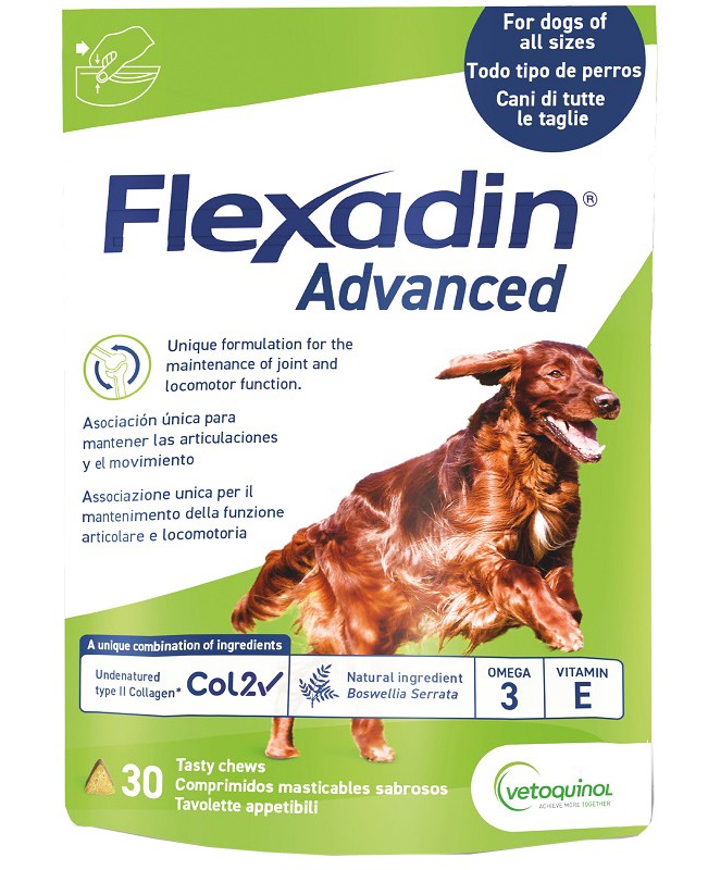 FLEXADIN ADVANCED 30TAV MASTIC NEW