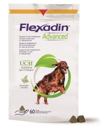 FLEXADIN ADVANCED 60TAV MASTIC NEW