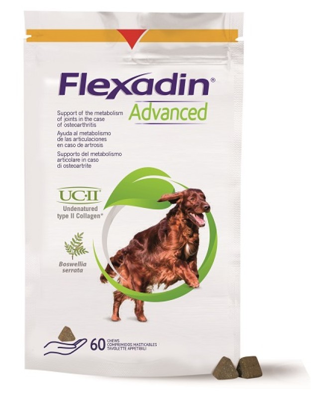 FLEXADIN ADVANCED 60TAV MASTIC NEW FLEXADIN ADVANCED 60TAV MASTIC NEW
